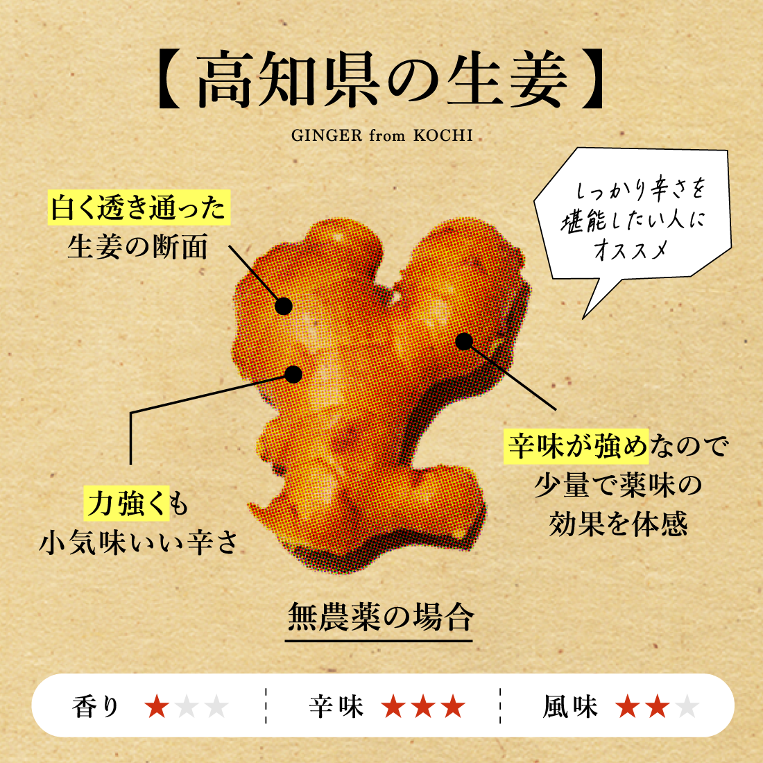 高知県無農薬生姜3