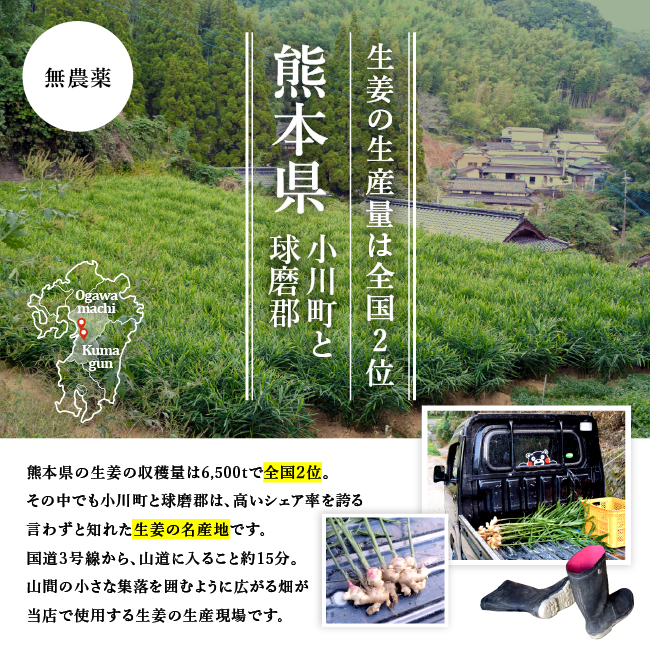 熊本県無農薬生姜1