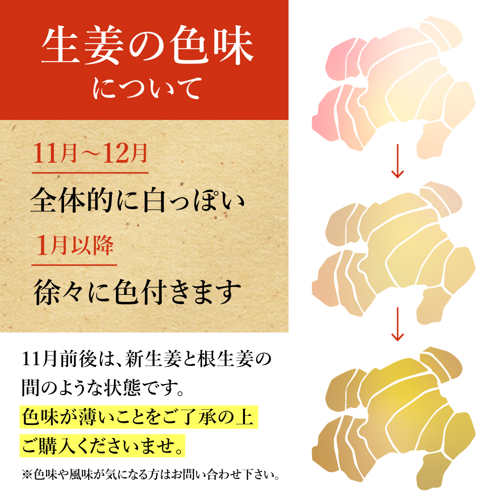 生姜色味