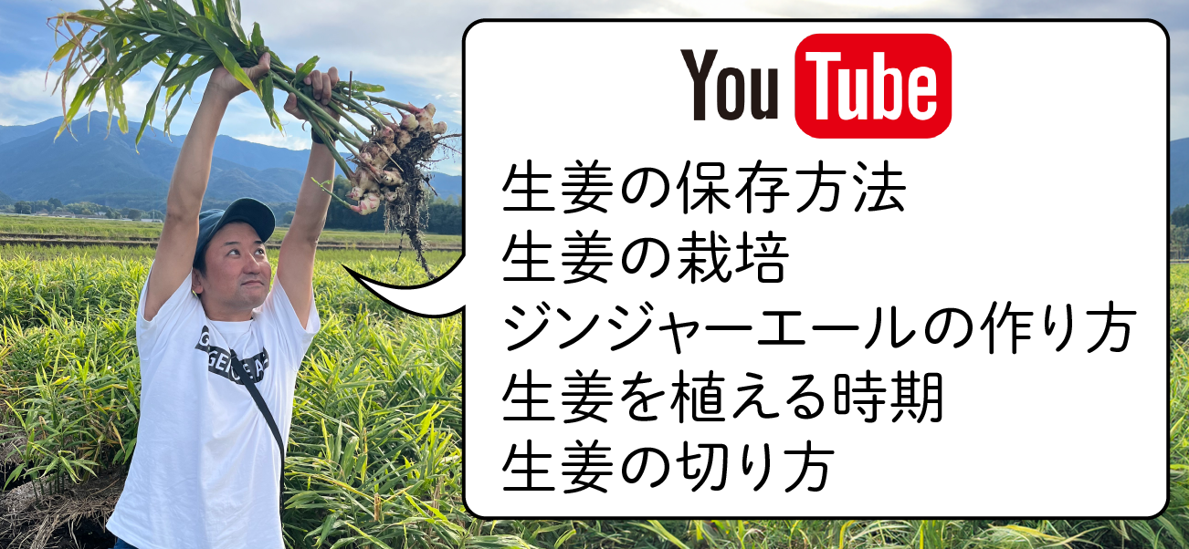 “生姜のyoutubeまとめ"