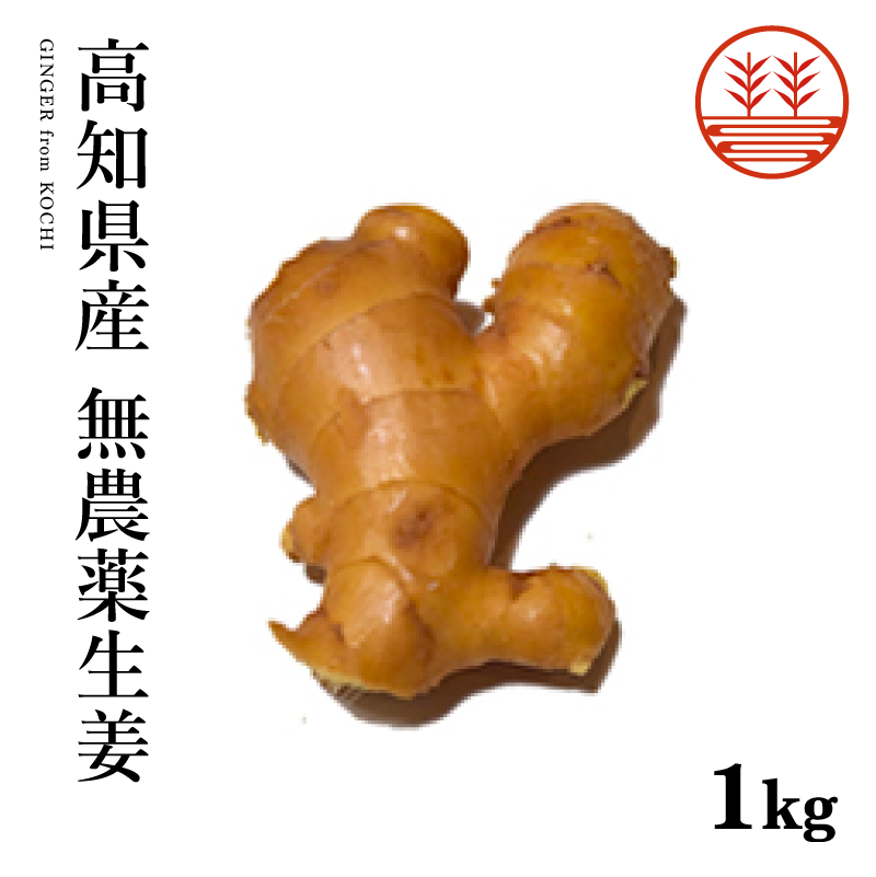 高知県産無農薬生姜1000g