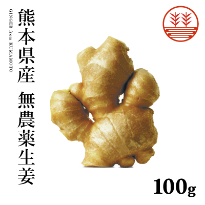 熊本無農薬生姜100g