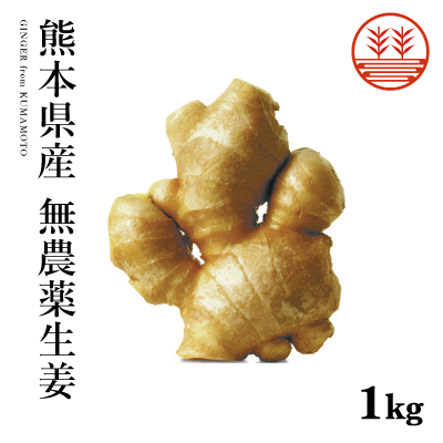 熊本無農薬生姜1000g