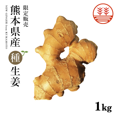 熊本無農薬種生姜1000g