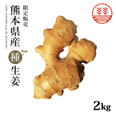 熊本無農薬種生姜2000g