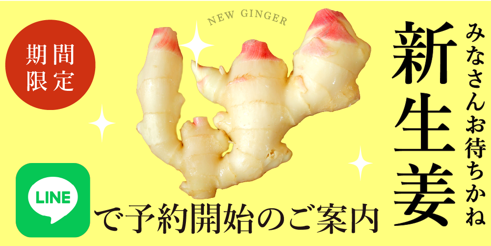 “新生姜LINE"